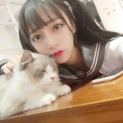 侍忍者bt版下载